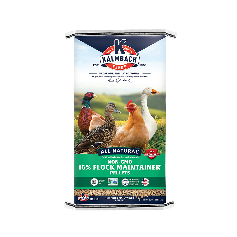 16% Flock Maintainer® (Non-GMO Pellet) – Kalmbach Feeds®