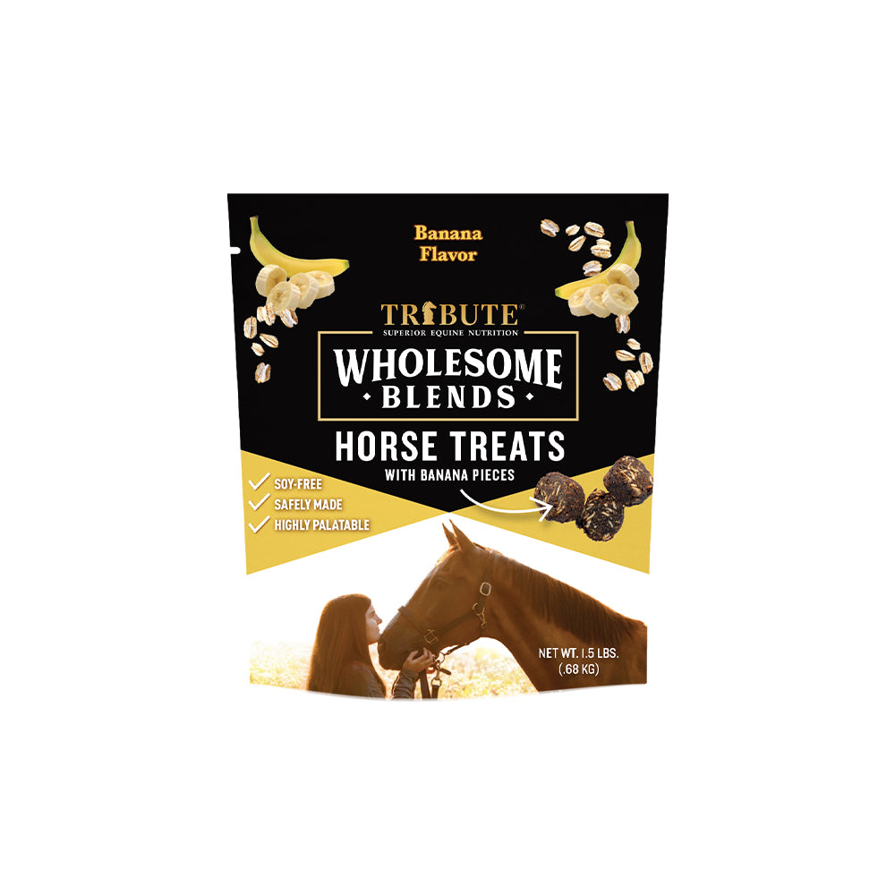 Banana Wholesome Blends® Horse Treats – Kalmbach Feeds®