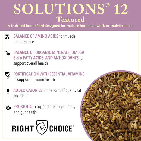 right choice solutions 12 textured horse feed