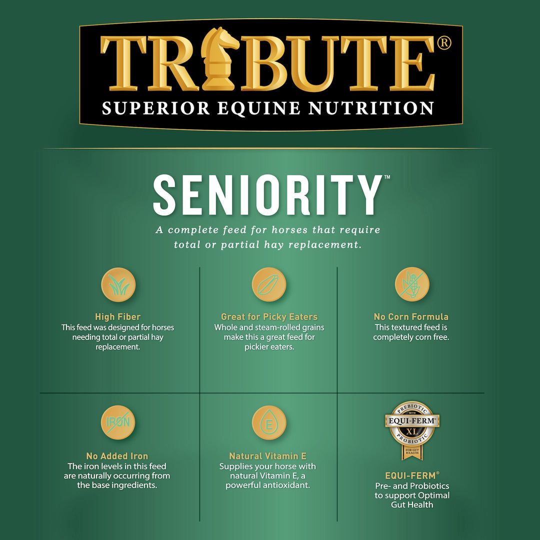 tribute equine nutrition seniority textured senior horse feed for senior horses
