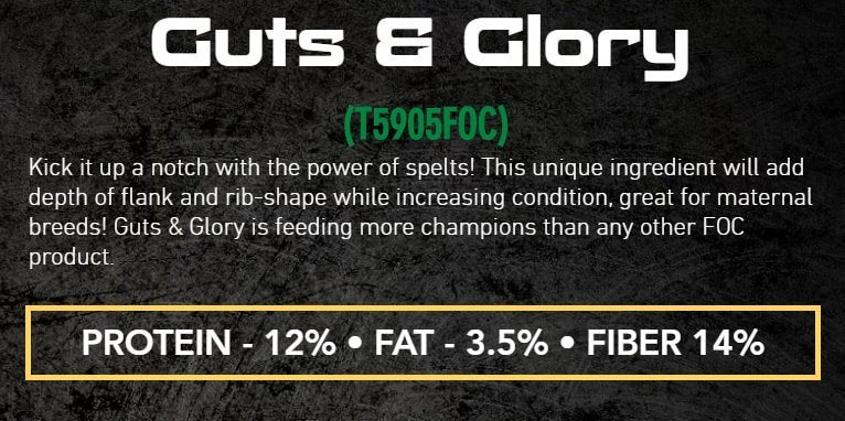 foc guts and glory beef feed description graphic