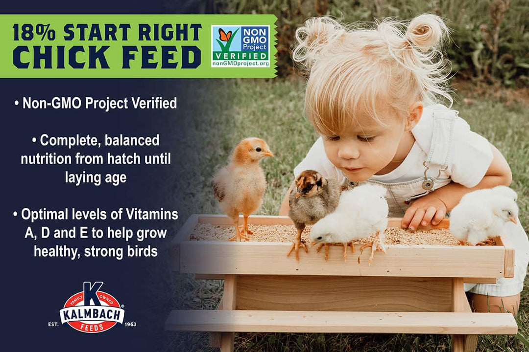 kalmbach 18 start right chick feed non-gmo benefits lifestyle imagery