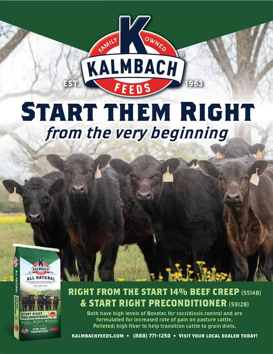 kalmbach start right preconditioner flyer description beef feed