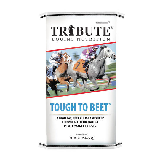 tribute equine nutrition tough to beet racehorse feed canada