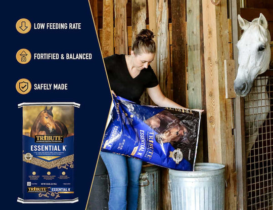 tribute essential k horse feed benefits lifestyle imagery graphic