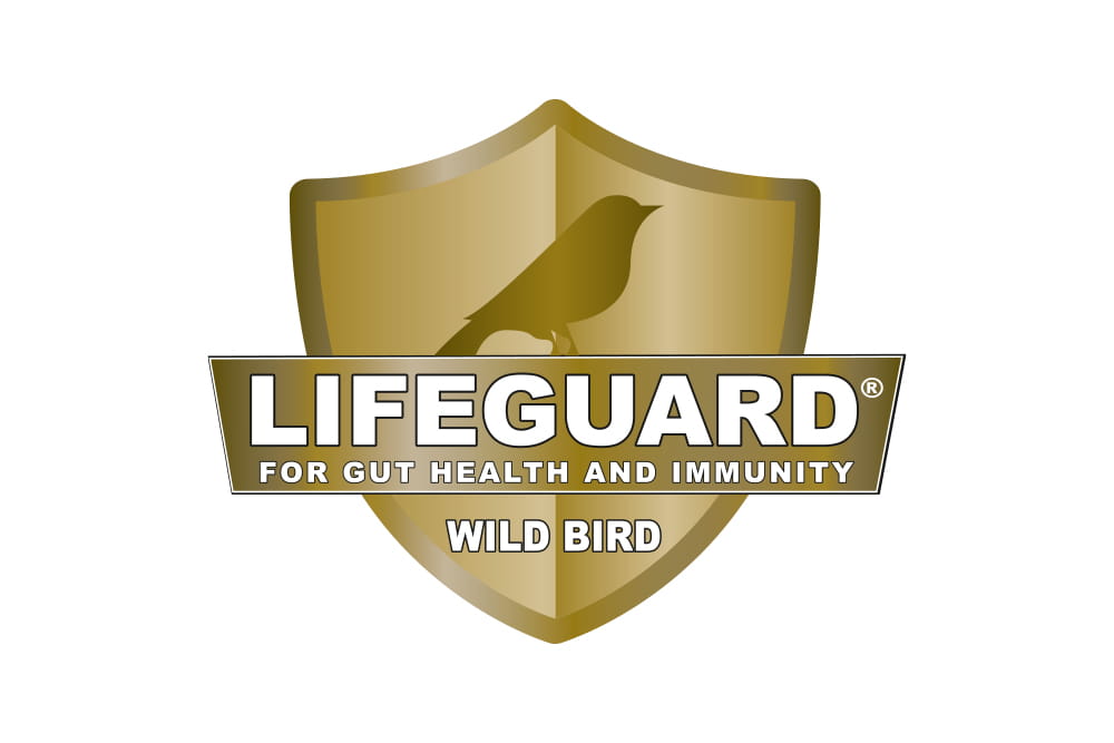lifeguard product logo