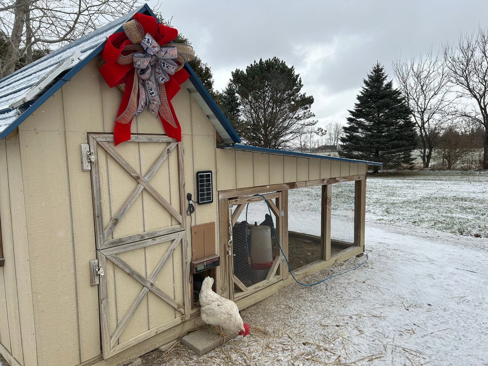 How to Make a Bow for Your Coop or Barn Door