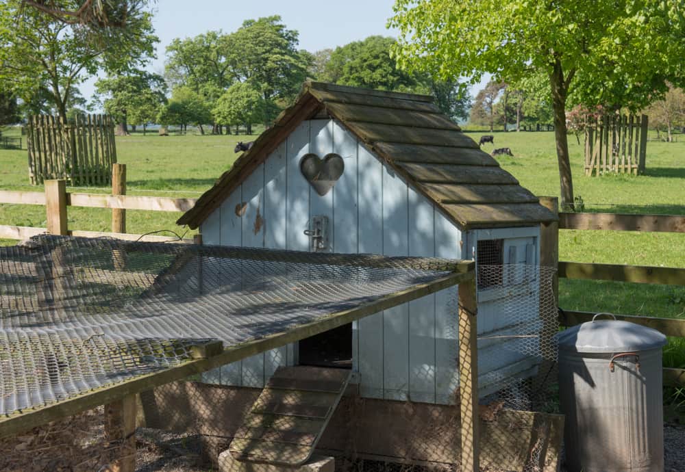 Wooden Chicken Coop in a Country Cottage Garden