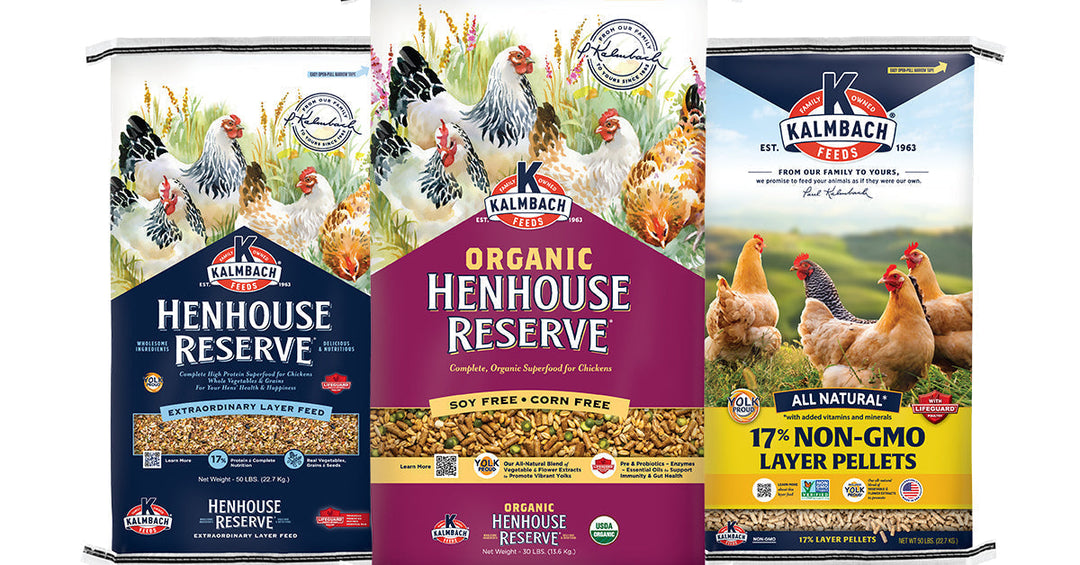 Conventional vs Organic vs Non-GMO Chicken Feeds