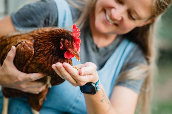 young girl holding a chicken