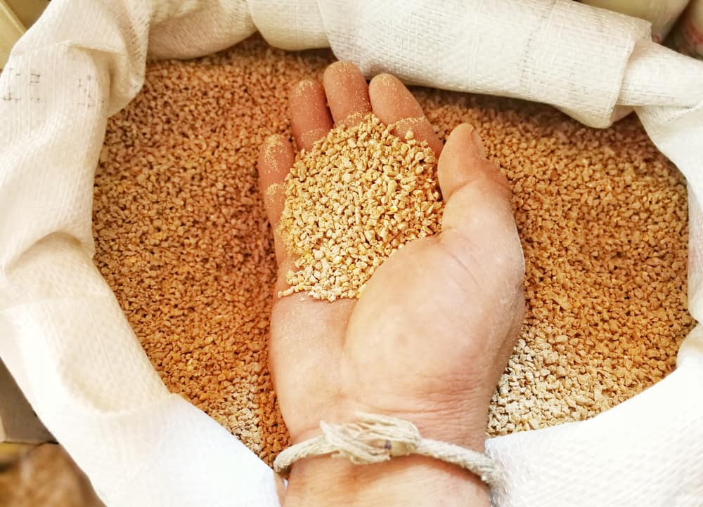 A persons hand in a bag of chicken feed crumb