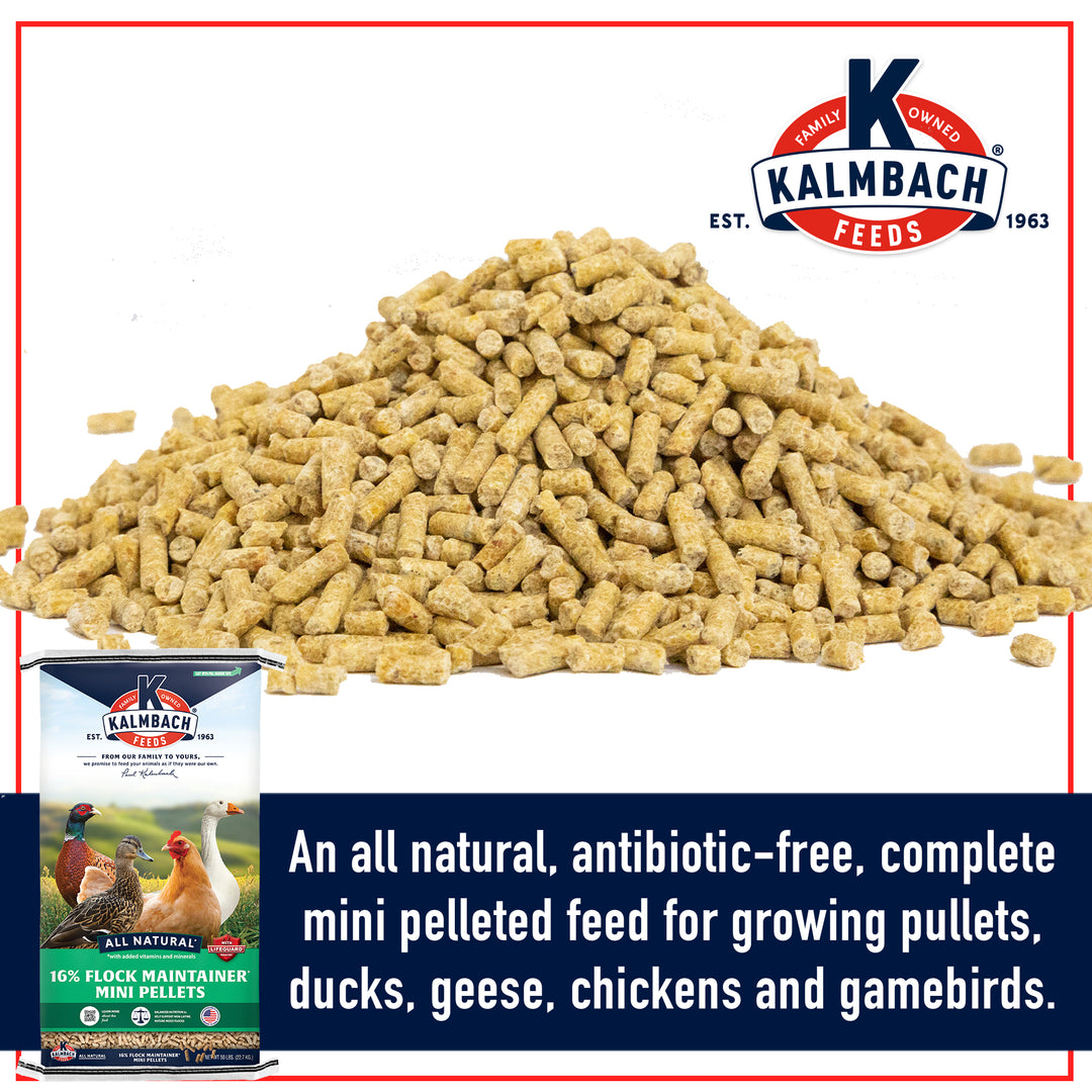 16% Flock Maintainer®