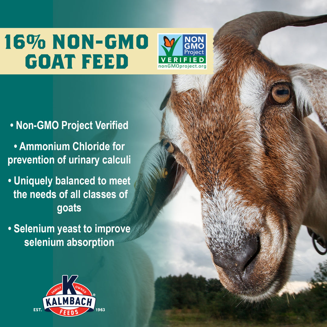 16% Goat Pellet (Non-GMO)