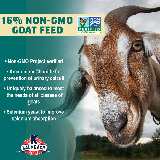 16% Goat Pellet (Non-GMO)
