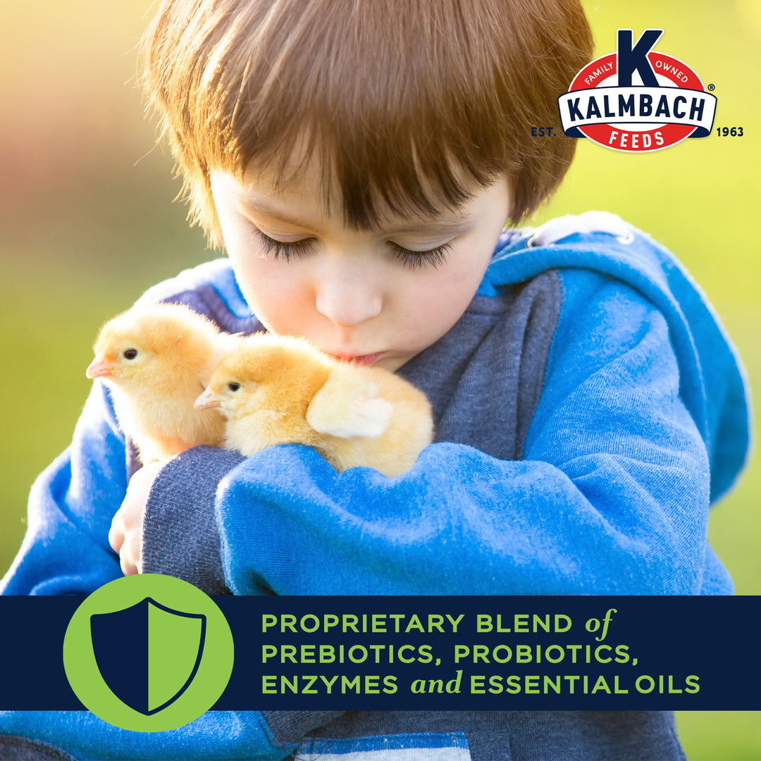 18% Start Right® Chicken Crumble Feed