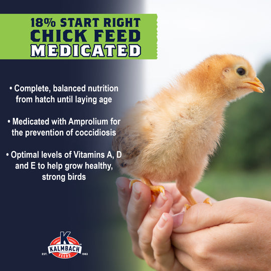 18% Start Right® Chick Feed (Medicated)