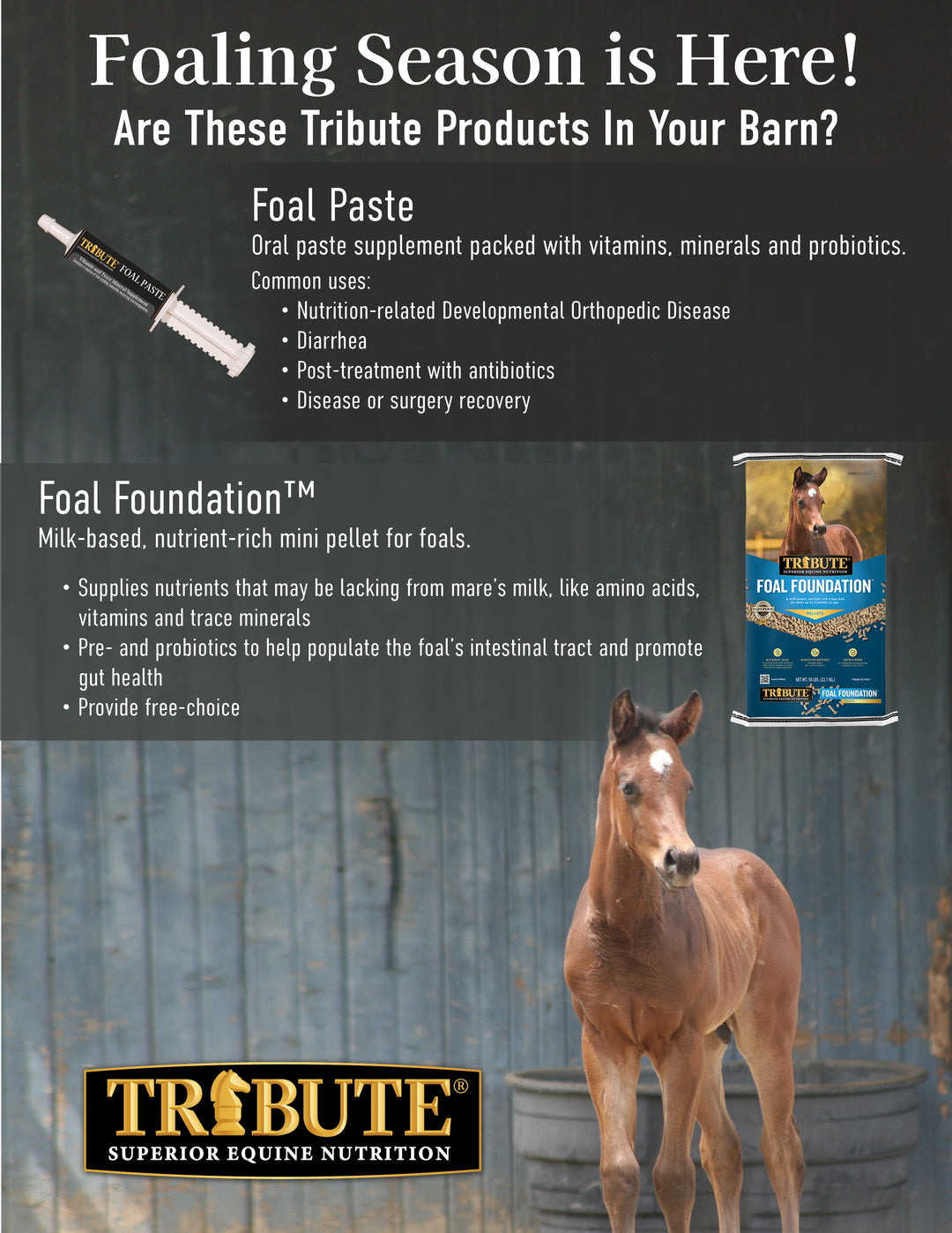 Foal Paste®