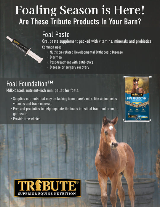 Foal Paste®