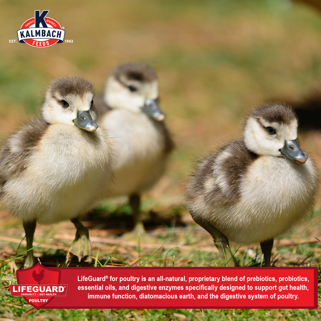 20% Flock Maker® (Crumble)