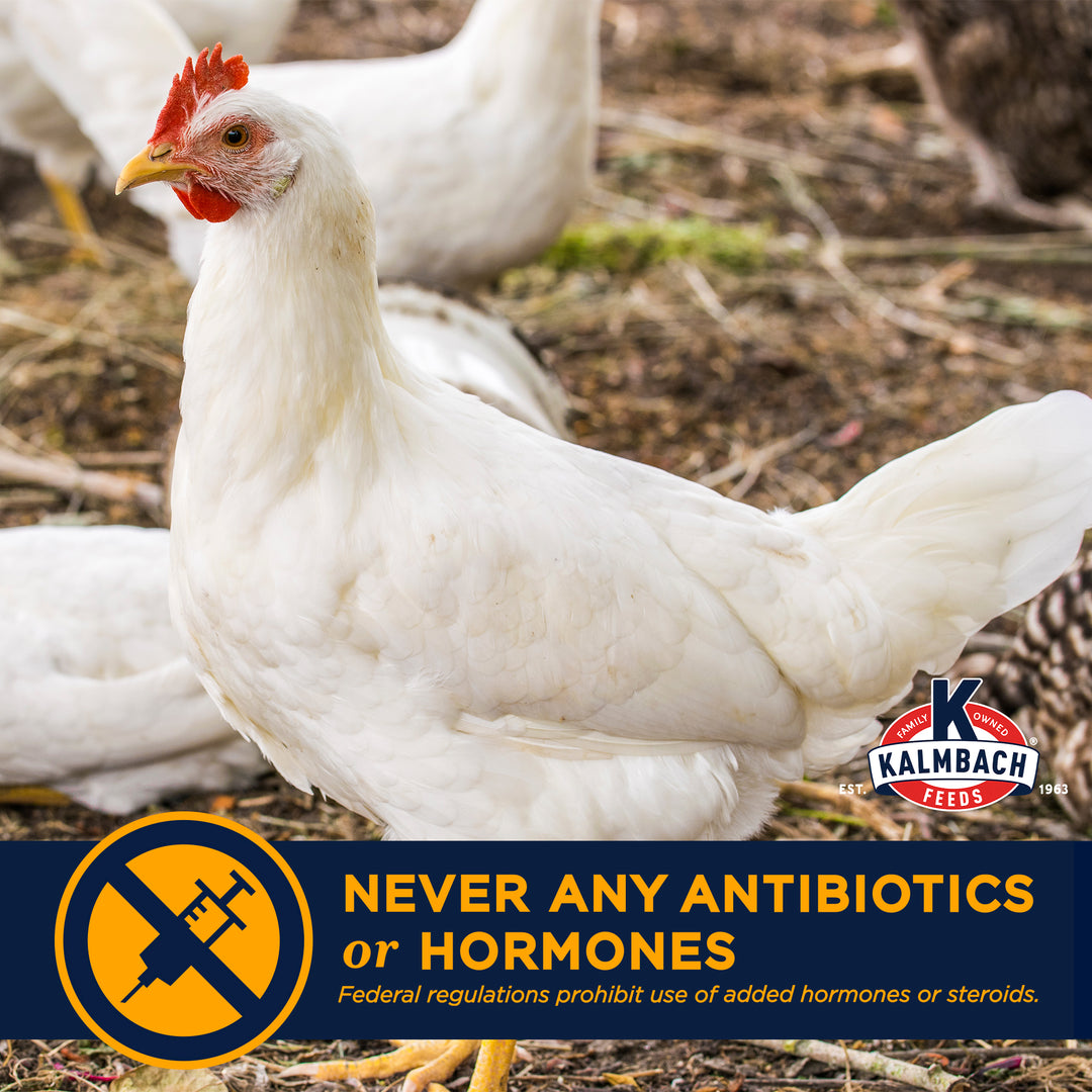 22% Start-To-Finish Meatbird Feed