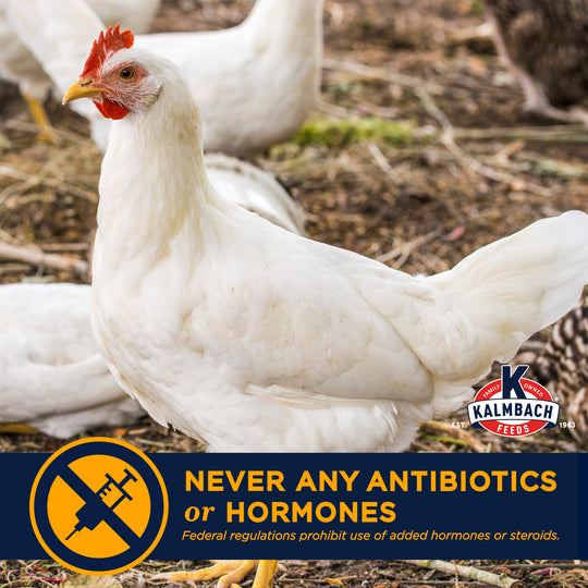 22% Start-To-Finish Meatbird Feed