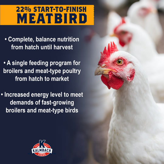 22% Start-To-Finish Meatbird Feed