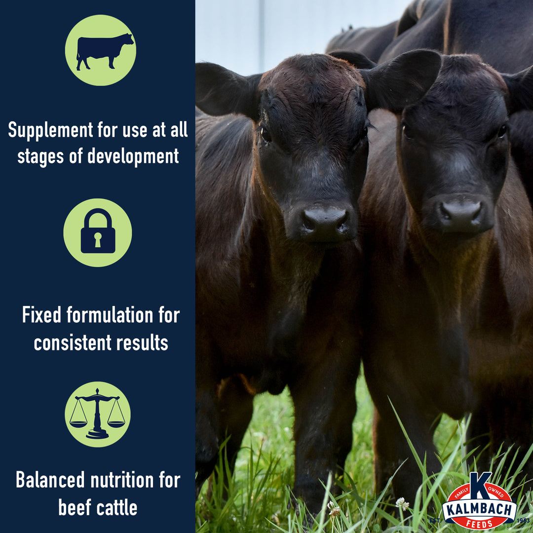 34% All Natural Beef Supplement