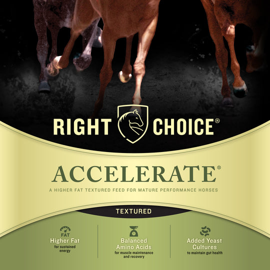 Accelerate®