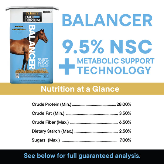 Equi-Librium™ Balancer