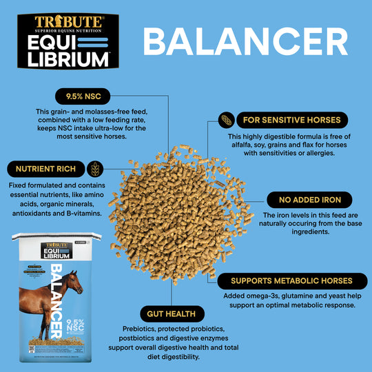 Equi-Librium™ Balancer