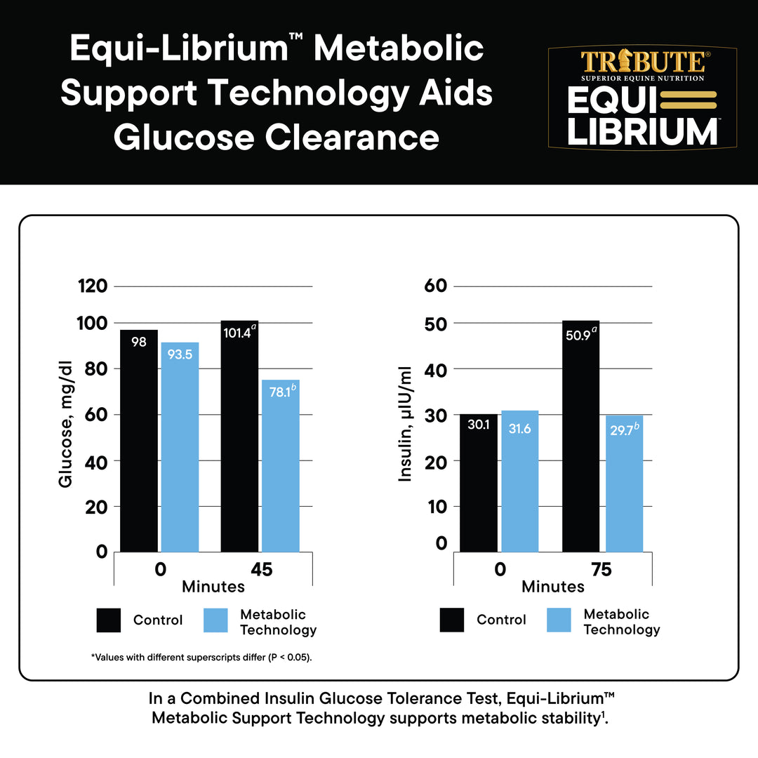 Equi-Librium™ Balancer