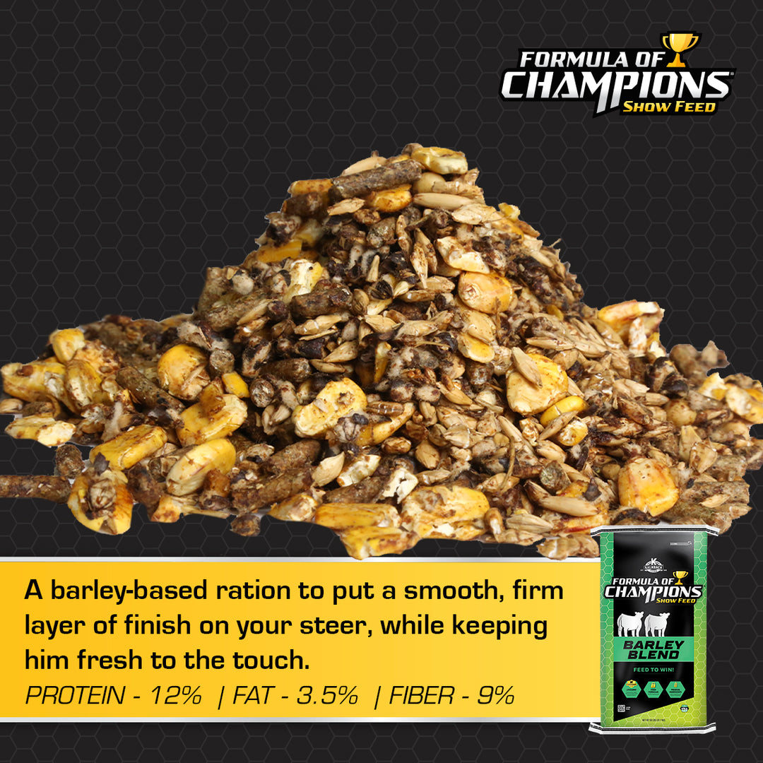 Barley Blend Show Cattle Feed
