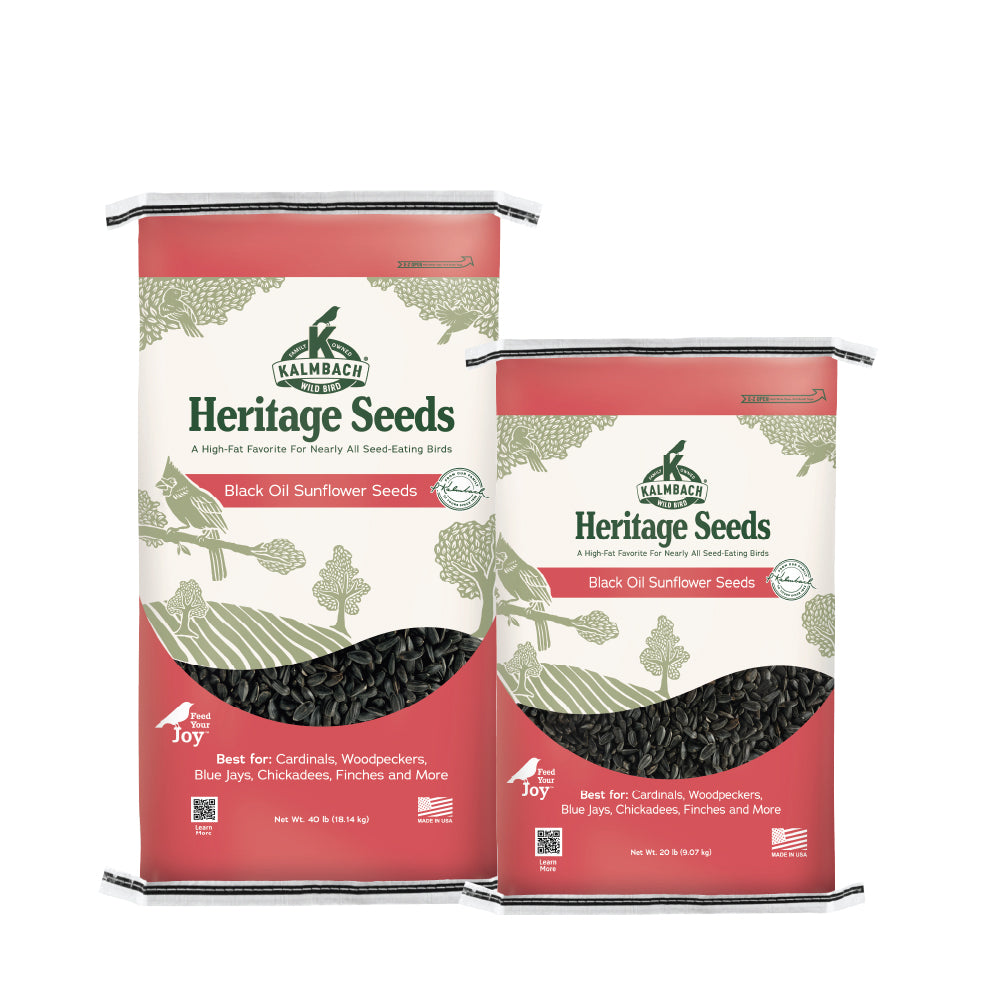 Heritage Seeds Black Oil Sunflower Seeds – Kalmbach Feeds®