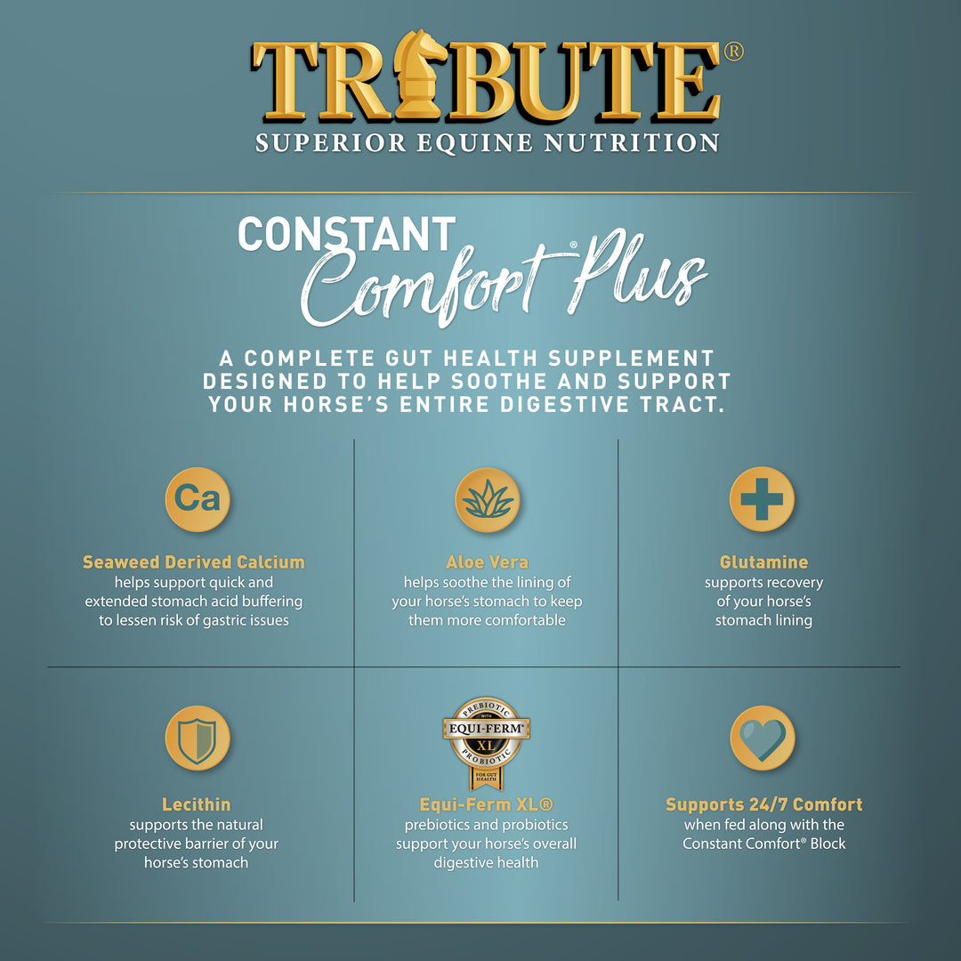 Constant Comfort® Plus