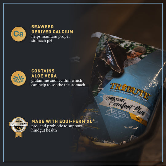 Constant Comfort® Plus