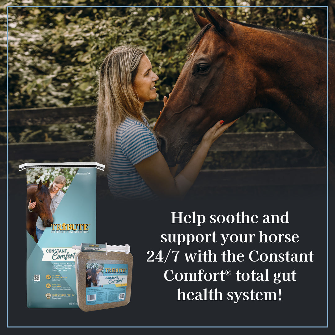 Constant Comfort® Plus