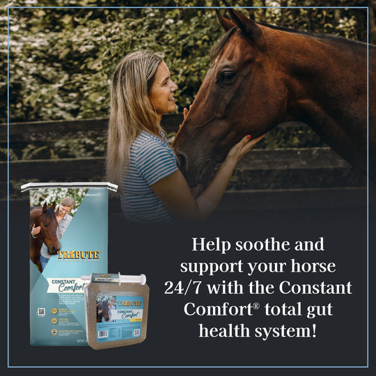 Constant Comfort® Plus