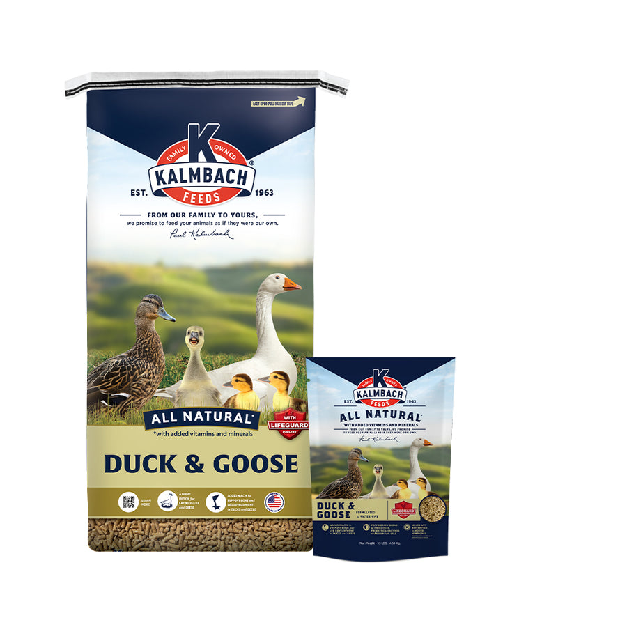 Poultry Feeds: Feed for Chickens, Ducks, and Turkeys – Kalmbach Feeds®
