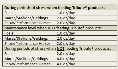 {"loading"=>"lazy", "alt"=>nil}