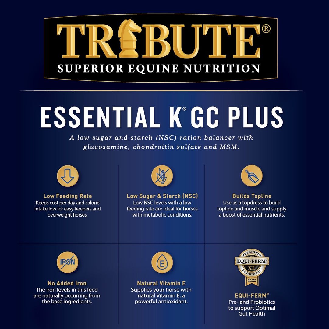 Essential K® GC Plus