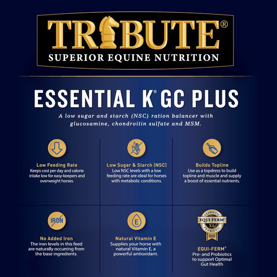 Essential K® GC Plus