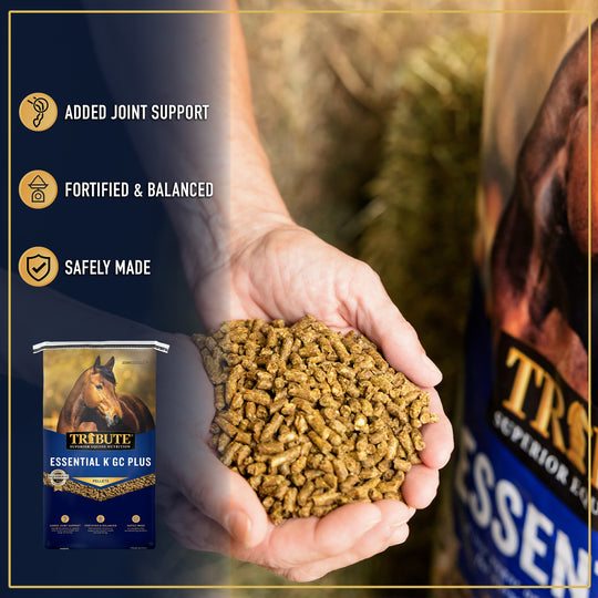 Essential K® GC Plus