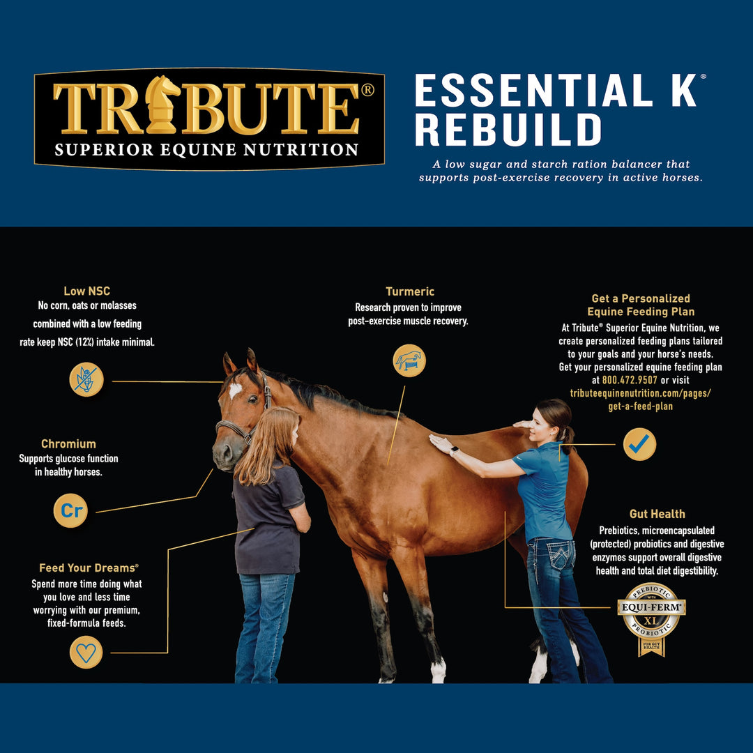 Essential K® Rebuild