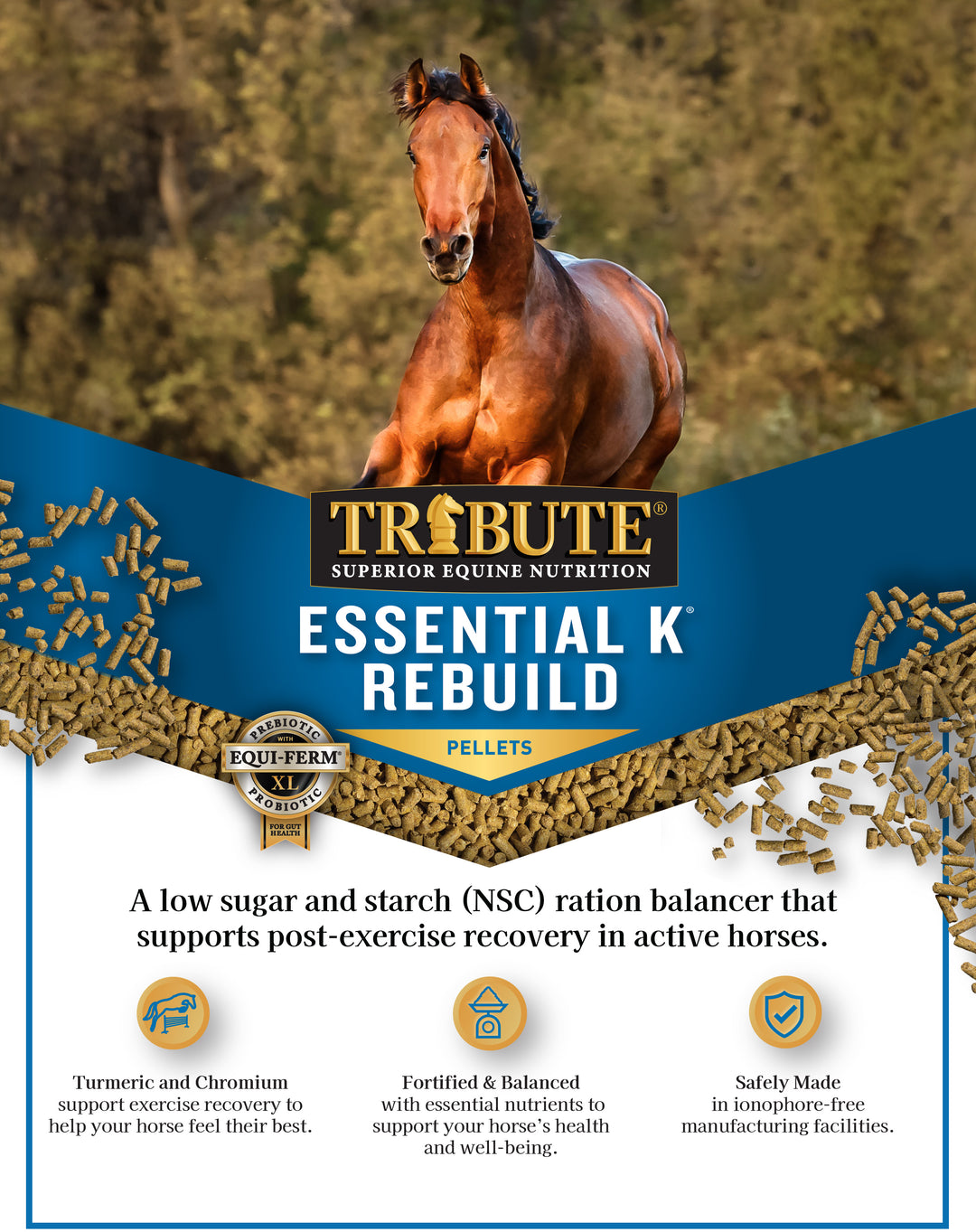 Essential K® Rebuild