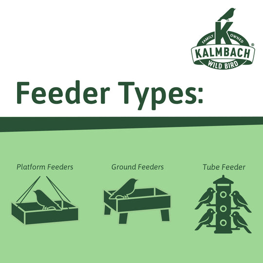 Everyday Essentials™