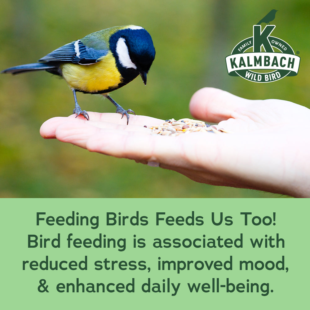 Everyday Essentials™