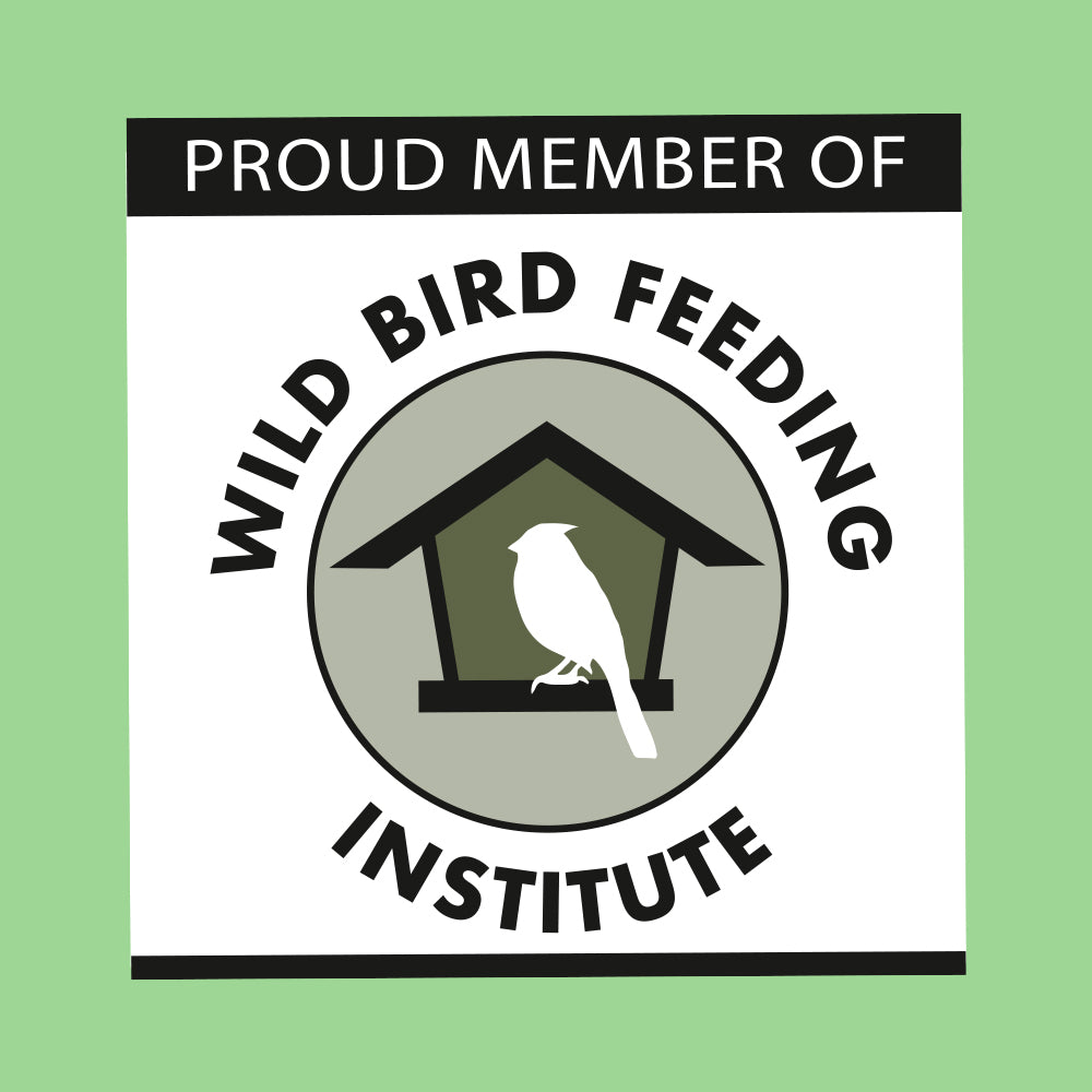 Everyday Essentials™