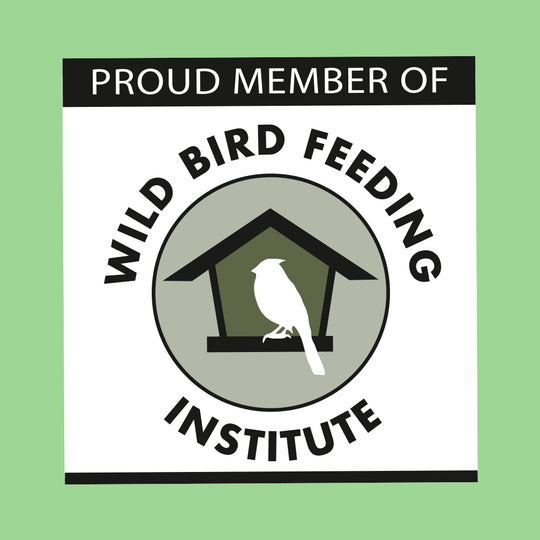 Everyday Essentials™