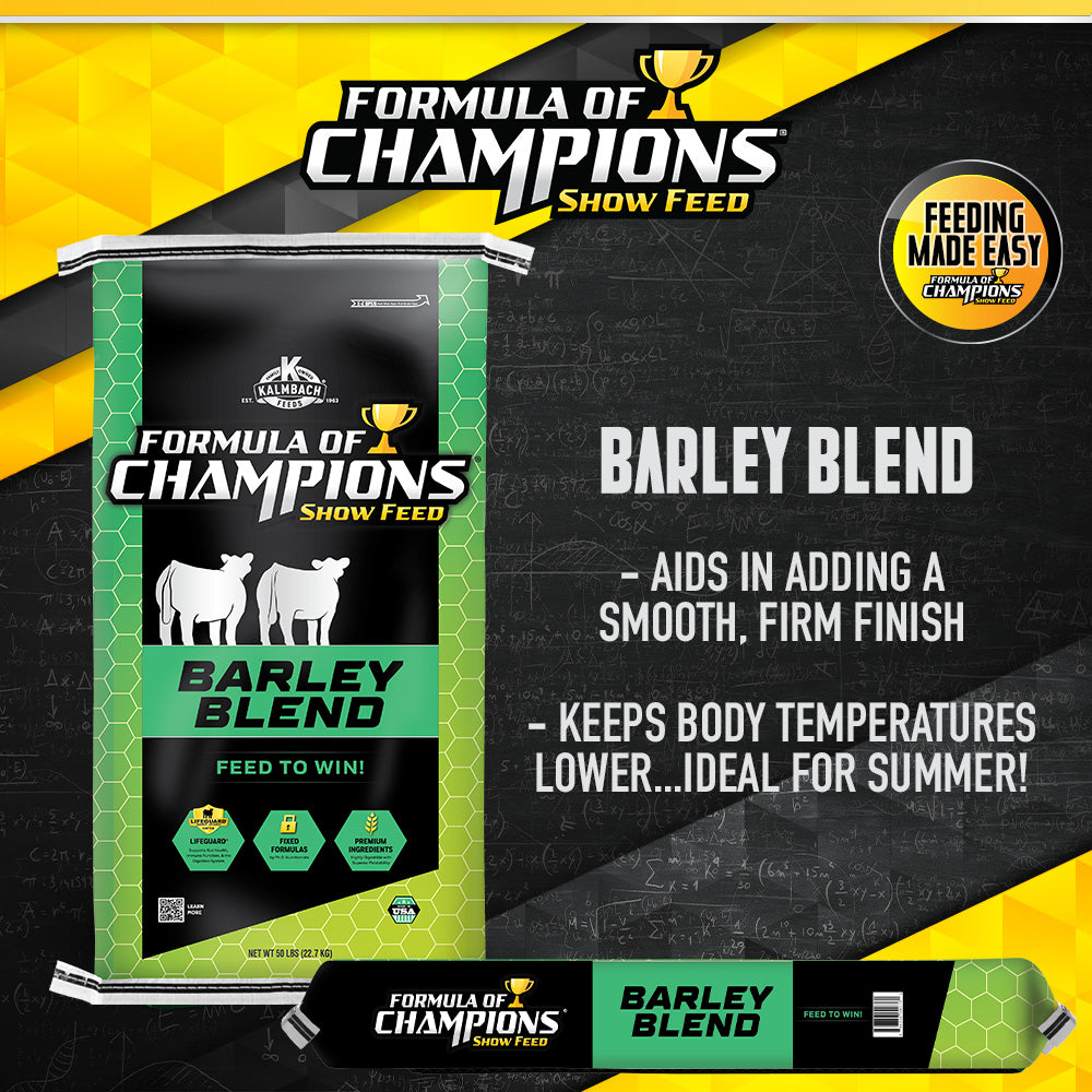 Barley Blend Show Cattle Feed