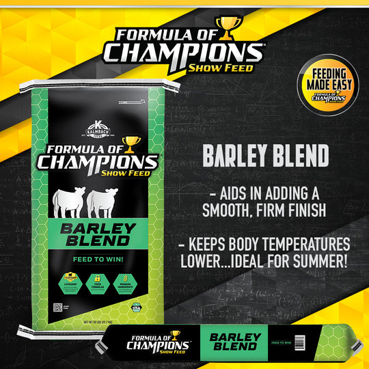 Barley Blend Show Cattle Feed